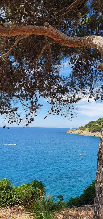 A Ca Me Bed and Breakfast Bonassola Buitenkant foto